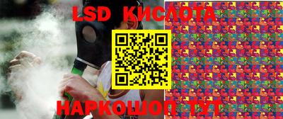 крисы Кингисепп
