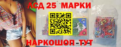крисы Кингисепп