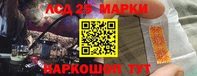 крисы Кингисепп