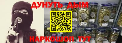 крисы Кингисепп