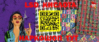крисы Кингисепп