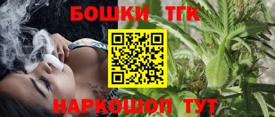 крисы Кингисепп