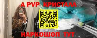 крисы Кингисепп