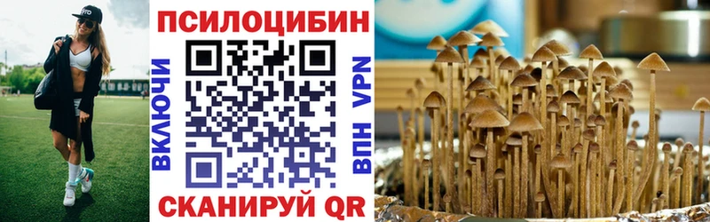 Псилоцибиновые грибы ЛСД  магазин    Холмск 
