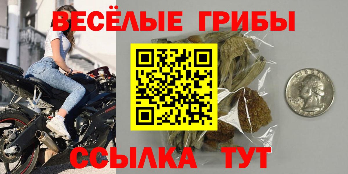 Псилоцибиновые грибы прущие грибы Холмск