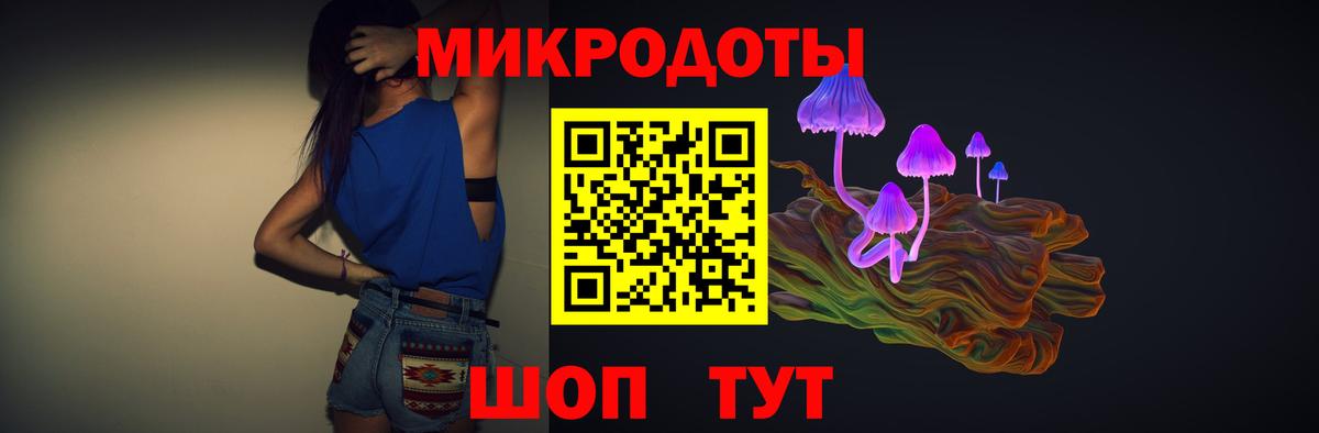 Псилоцибиновые грибы Psilocybe  Вход с VPN  Холмск 